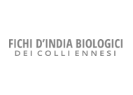 logo-fichidindiabio